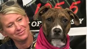 WDHA's Rock N' Ruff With Maci From Randolph Regional Animal Shelter