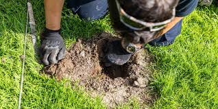 Find all our meetings on the epping forest district council calendar of meetings. Who Offers Pest Control In Loughton Epping Forest District Pest Defence Ltd