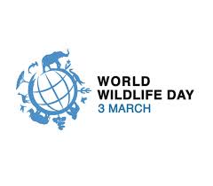 Maybe you would like to learn more about one of these? World Wildlife Day 2021 Forests And Livelihoods Sustaining People And Planet Oie Africa