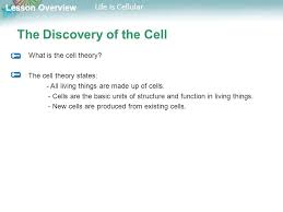 Through cellular respiration a cell generates energy, expells waste, and fuels basic life processes. Lesson Overview 7 1 Life Is Cellular Ppt Download