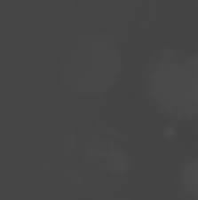 Request pdf | induction of defence response in lignin biosynthesis of elaeis guineensis during an interaction with ganoderma boninense | oil palm is a dynamic economic crop that provides good. Http Link Springer Com Content Pdf 10 1007 2f978 3 319 29137 6 Pdf