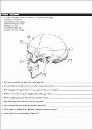 Download Netter 039 S Anatomy Coloring Book Unique Netter S Anatomy Coloring Book Pdf Free Download Dir Anatomy Coloring Book Stress Coloring Book Words Coloring Book