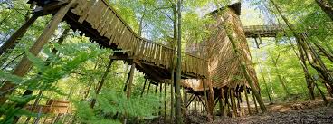 Wegen ihres absorbtionsminimums im farbbereich zwischen 490 und 620 nm, der sog. Parc Chlorophylle Ardennes Etape