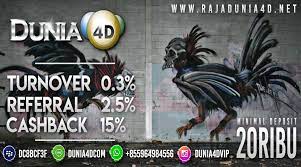 Dunia4d Menyediakan Banyak Permainan Boss Togel Slot Games Sabung Ayam Sportbook Live Casino Tembak Ikan Poker Domino D Poker Dunia Penghapus