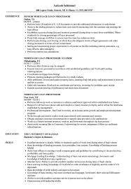 Mortgage Loan Processor Resume Samples Velvet Jobs