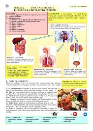 Nutrition 1 Digestive Circulatory Systems By Ceipsantaana1 Issuu