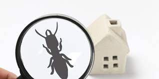 We pride ourselves in providing tailored services to fit your needs and situation. Indoor Pest Control Downs Pest Control Property Maintenance