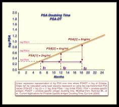 Describing Prostate Cancer Dynamics Second Look At Psa