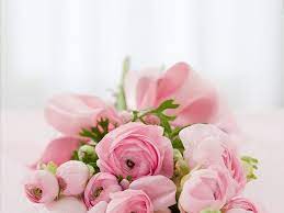 I love you, my dear, 2. 2020 Romantic Love And Trust Messages For Him Or Her Love Messages