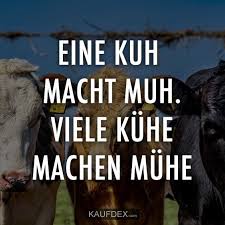 Eine Kuh Macht Muh Viele Kuhe Machen Muhe Kaufdex Lustiges Kuh Landwirt Kuh Bilder