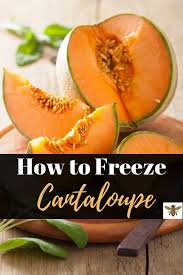 Check spelling or type a new query. How To Freeze Cantaloupe Cantaloupe Frozen Grow Your Own Food