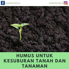 Humus Adalah Tanah Yang Sangat Subur Terbuat Dari Pelapukan Sisa Tanaman Seperti Dedaunan Kayu Akar Dan Lain Gardening Trends Gardening Tips Garden Planning