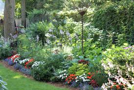 Most important it the values of properly researching the best privacy plant #8: Eight Ways To Make Your Backyard Private Using Landscaping Pennlive Com