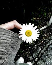 pin on wallpapers iphone tumblr iphone wallpaper iphone wallpaper iphone cute