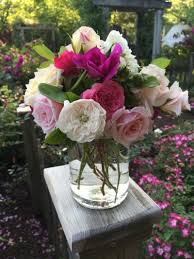 Check spelling or type a new query. Preserving Cut Roses Tips For Keeping Roses Fresh After Being Cut
