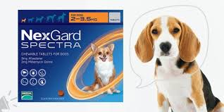 Both nexgard and nexgard spectra chews will protect your dog from fleas and the most problematic tick species infesting dogs in australia (brown dog tick, bush tick and the deadly paralysis tick) for a full month. Faqs About Nexgard Spectra Canadavetcare Blog