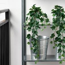 Whites outdoor 250mm petite garden up wall pot (2) $6.90. Fejka Artificial Potted Plant In Outdoor Hanging Ivy 12 Cm Ikea