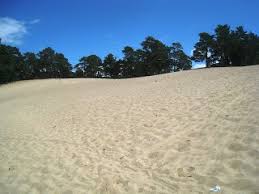 Õnnela leedo küngas (ehte humanitaargümnaasiumi direktor) vastab küsimusele, mida ta ootab urbact iii story devised and performed by women from the kunga stopping violence program. Mandrijaatekkelised Pinnavormid Geograafia