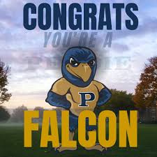 Image result for Peddiea