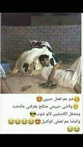 pin by uoµo c o o u on نكت مضحكه funny jokes funny pictures jokes