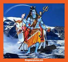 See more of mahadev images on facebook. 40 Mahadev Images Photos Hd Mahadev Wallpaper Pictures