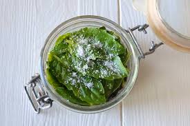 We did not find results for: Come Conservare Il Basilico Misya Info