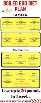 Boiled Eggs Not Only Have Very Nutritious Properties For Your Health But Also Are A Perfect Ingredient For A Rapid Boiled Egg Diet Plan Egg Diet Egg Diet Plan