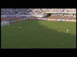 Northern eagle owl landed to stadium in the middle of game. Football Finland Belgium Bubo Bubo Youtube