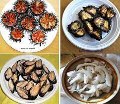 We did not find results for: I Frutti Di Mare A Bari Venerati Come San Nicola