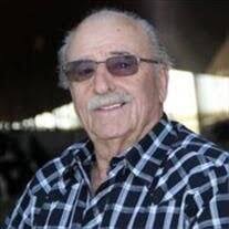 Mario Martins Simoes Obituary