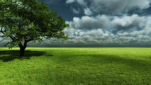 3d Nature Tree Wallpapers Hd Wallpaper Beautiful Landscapes Landscape Background Landscape Wallpaper