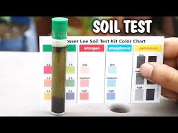 Ph Soil Testing Kit Dbcg Info