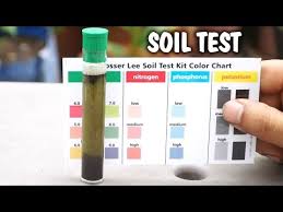 ph soil testing kit dbcg info