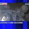 Cleopatra was buried in a tomb. Https Encrypted Tbn0 Gstatic Com Images Q Tbn And9gcretu6icaz5miucksubvhvmpfjmnjks9t Wzmmm6z Hvw8bedhk Usqp Cau