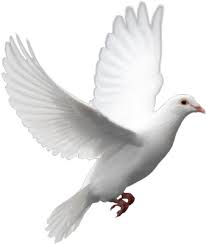 Psd Detail Single Dove Official Psds Dove Images Dove Flying Dove Drawing