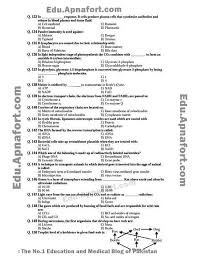 Biology Exam Papers Online Need Help With Essay Writing
