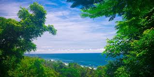 Painemo island, blue lagoon, raja ampat, west papua indonesia. Landscape Of The Bali Island Indonesia Bali Is An Indonesian Island And Known As A Tourist Destina Cuinsight