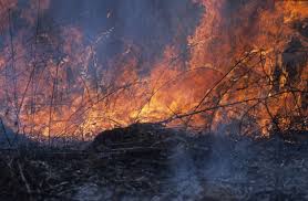 Limited menu, but food is good. No Fire Pit Ban In Kaukauna As Governor Declares State Of Emergency Kaukauna Community News