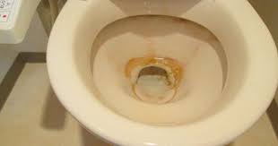 トイレにこびりついてなかなか取れない尿石を掃除で綺麗に取る方法をご紹介 さらにトイレ掃除と運気にまつわる必見情報がこちら トイレ掃除 掃除 トイレそうじ