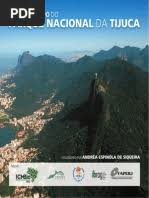 Image result for Eriocaulon angustibracteatum