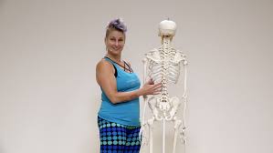 What are the skeletal differences between these two pelves? The Female Pelvis And Yoga Ekhart Yoga