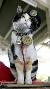 Let S Be Epic Tama Densha And The Cat Train Station Master Cat Training Crazy Cats Cats