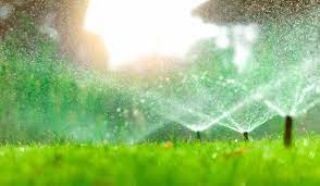 Vor allem an heißen sommertagen verlangt ein garten nach viel wasser. Wasser Sparen Im Garten Regentonne Richtiges Giessen Rasensprenger