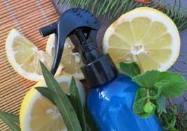 Recette Spray Assainissant Fraicheur Sans Alcool Aroma Zone Produit Menager Maison Menage Maison Spray