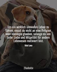 Die katze hält sich ihre leute, denn für sie sind die menschen nützliche haustiere. Spruche Hund Mensch Beziehung Kurz