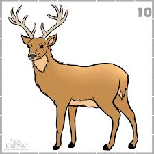 It took me about 3 hours to get them all into place, but is worth it in the end. Drawing A Deer In 10 Steps Easy Tutorial Craft Mart