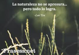Pin En Bolsas De Tela Ecologicas