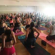 Check out palm beach garden's latest vinyasa yoga studio where we are always so happy to see you on your mat! Thrive Power Yoga Palm Beach 28 Reviews Yoga 10385 Ironwood Rd Palm Beach Gardens Fl Phone Number
