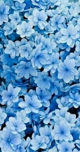 56 Trendy Flowers Blue Drawing Backgrounds In 2020 Spring Wallpaper Blue Flower Wallpaper Blue Wallpaper Iphone