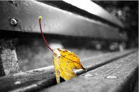 50 Wonderful Black White Photos With Partial Color Effects Black And White Pictures Color Effect Black White Photos